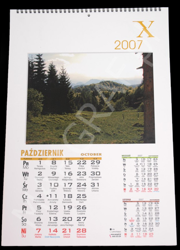 Foto-kalendarz 12-planszowy A3+