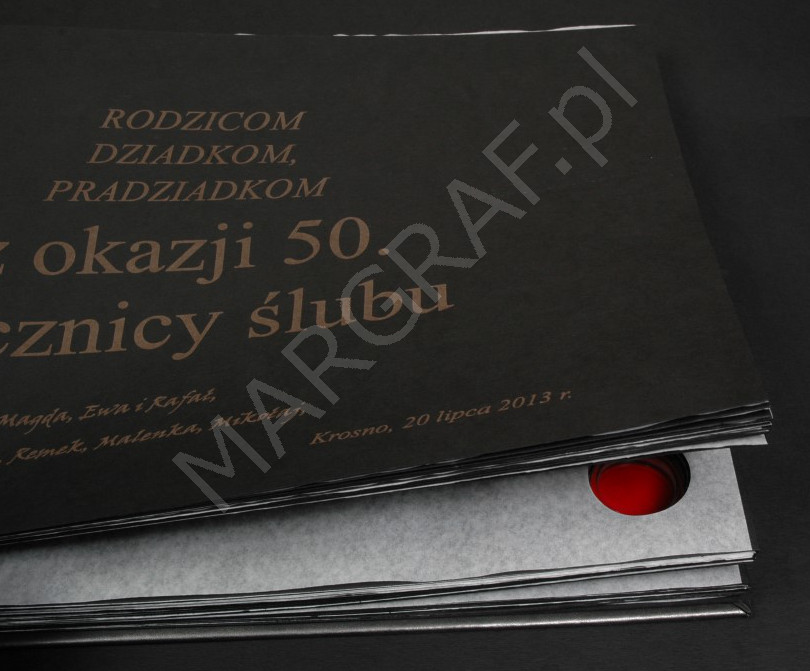 Przekładka pergaminowa, albumowa, album fotograficzny.