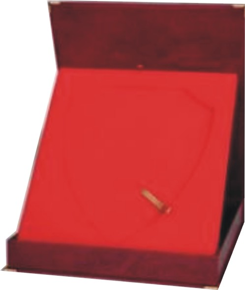 Etui na tarczę TE-225
